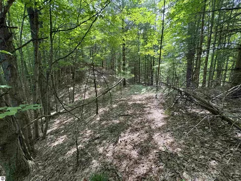 lot E Apt 5 E Bellinger Rd, Cedar, MI 49621 photo 18