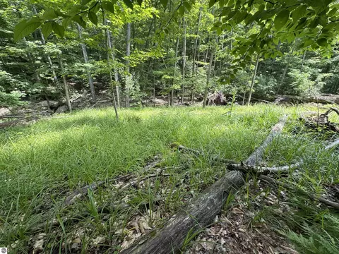 lot E Apt 5 E Bellinger Rd, Cedar, MI 49621 photo 7