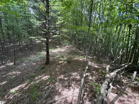 lot E Apt 5 E Bellinger Rd, Cedar, MI 49621 photo 15