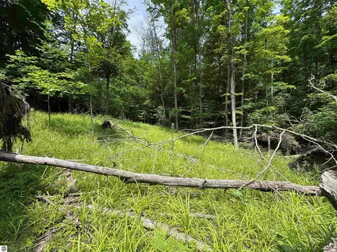lot E Apt 5 E Bellinger Rd, Cedar, MI 49621 photo 6