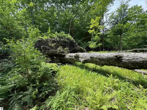 lot E Apt 5 E Bellinger Rd, Cedar, MI 49621 photo 9
