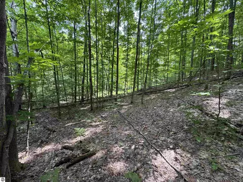 lot E Apt 5 E Bellinger Rd, Cedar, MI 49621 photo 14