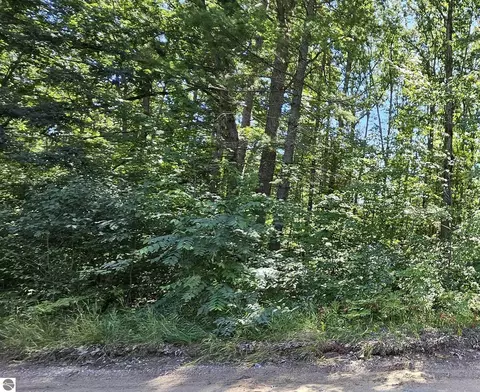 00 Merritt St, Fife Lake, MI 49633