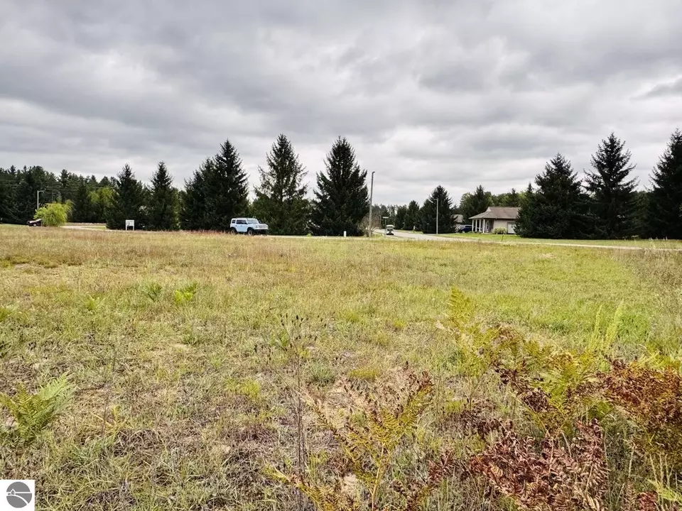  9246 Chippewa Dr, Mancelona, MI 49659 photo 4
