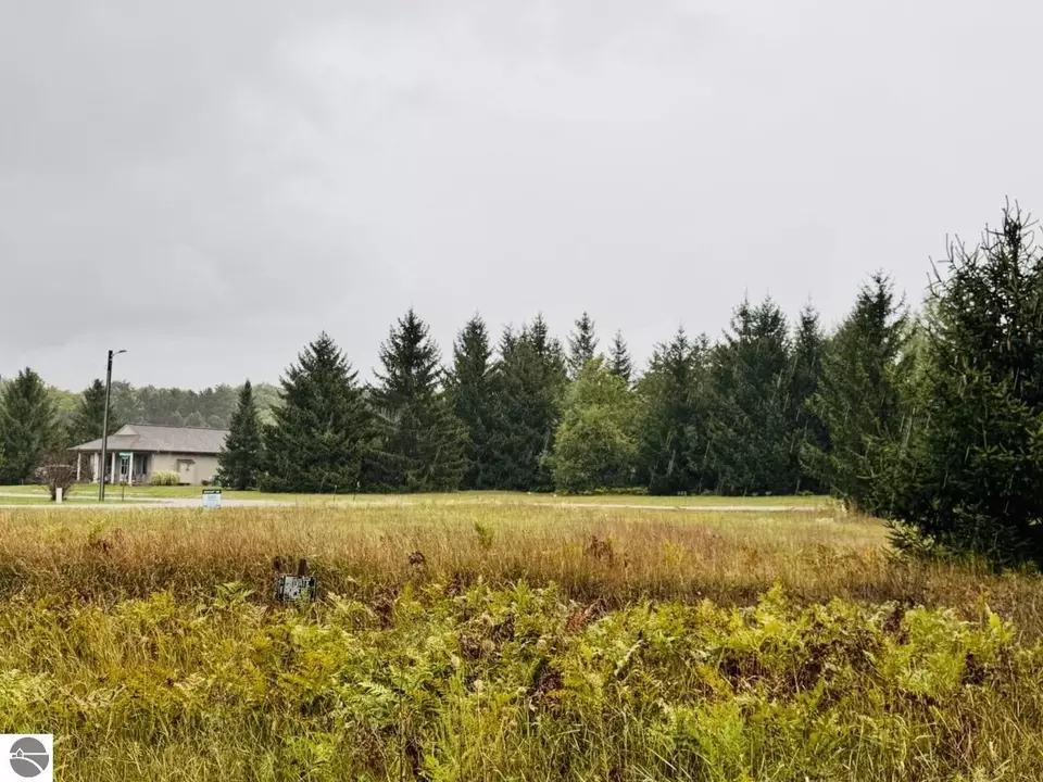  9246 Chippewa Dr, Mancelona, MI 49659 photo 5
