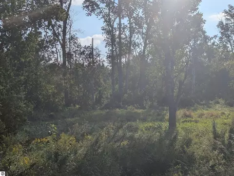 N/a Andrews Road, Tawas City, MI 48763