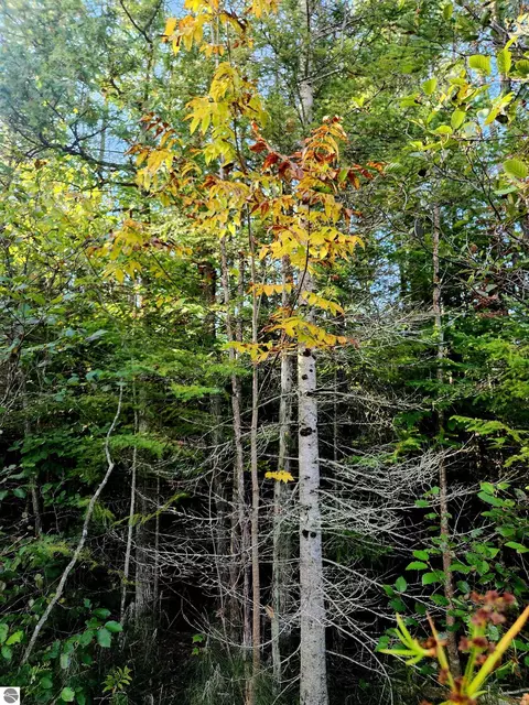 0 State Rd, Kalkaska, MI 49646
