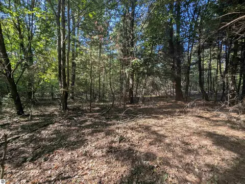 N/a N Forest Lake Drive, Alger, MI 48610