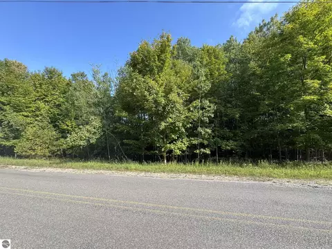 lot4 E Old Mountain Rd, Cedar, MI 49621