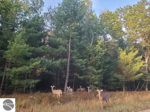 0 Buffalo Trl, Alger, MI 48610