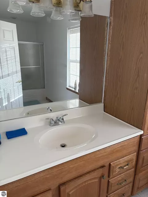 Bath - 99 N Alamando Rd, Shepherd, MI 48883 photo 4 of 7