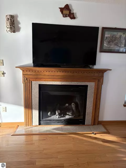 Other - 99 N Alamando Rd, Shepherd, MI 48883 photo 4 of 11