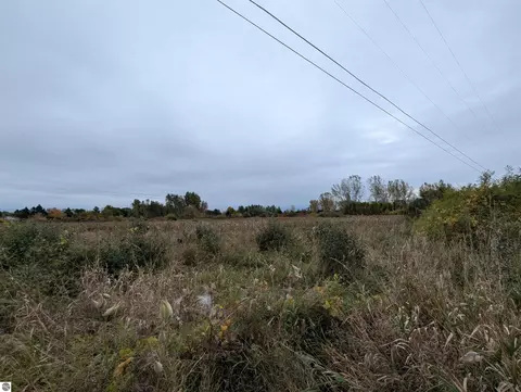 N/a Court Street, Au Gres, MI 48703 photo 5