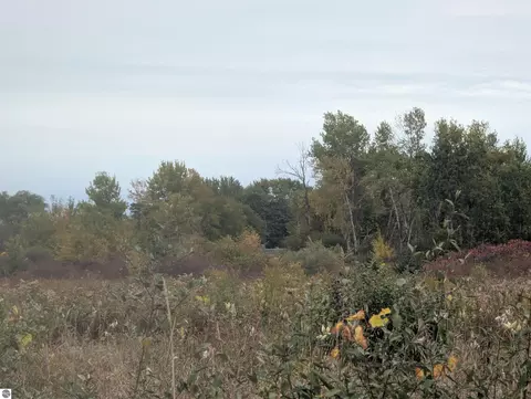 N/a Court Street, Au Gres, MI 48703 photo 6