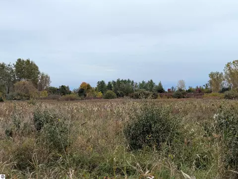 N/a Court Street, Au Gres, MI 48703 photo 8