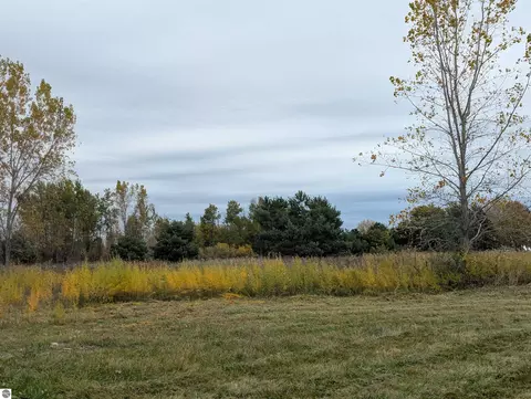 N/a Court Street, Au Gres, MI 48703 photo 4
