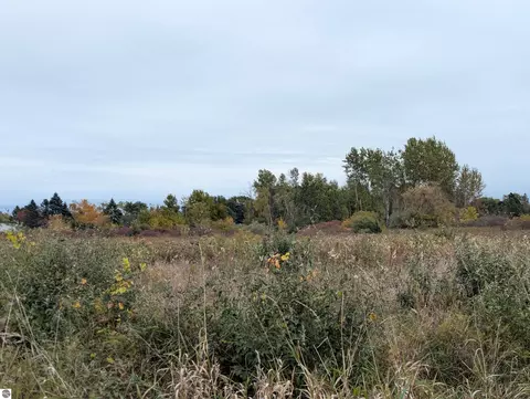 N/a Court Street, Au Gres, MI 48703 photo 2