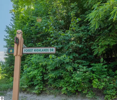 lot165 Forest Highlands, Bellaire, MI 49615