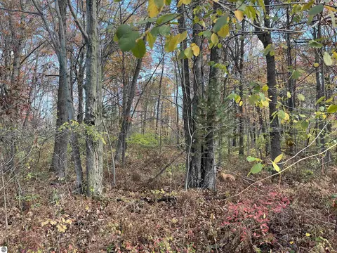 Nka Husak Road, Omer, MI 48749