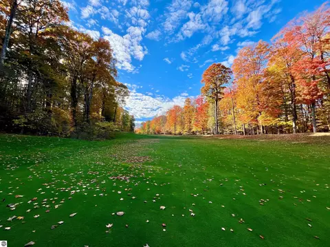 V/l 51 Troon South, Bellaire, MI 49615