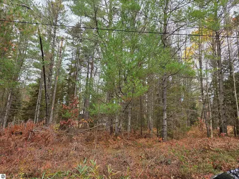 Battalion Boulevard, Grayling, MI 49738 photo 5
