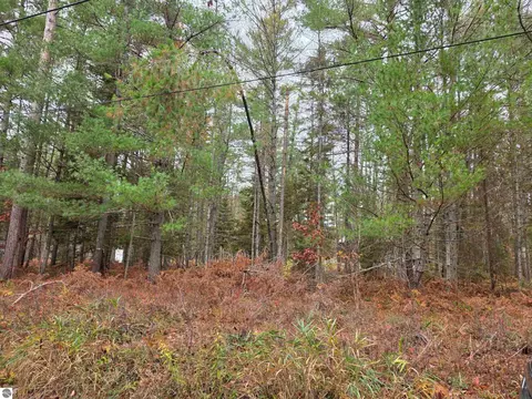 Battalion Boulevard, Grayling, MI 49738 photo 2