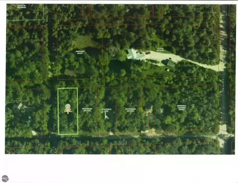 Battalion Boulevard, Grayling, MI 49738 photo 10