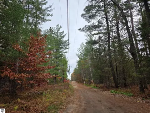 Battalion Boulevard, Grayling, MI 49738 photo 7