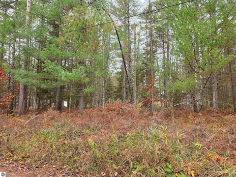Battalion Boulevard, Grayling, MI 49738 photo 4