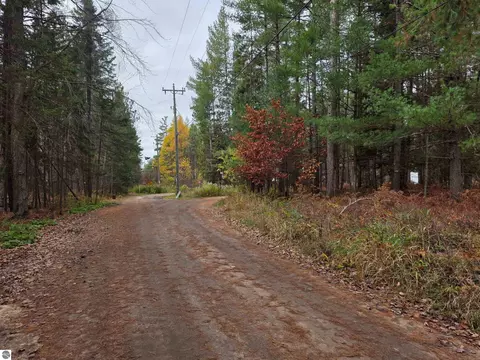 Battalion Boulevard, Grayling, MI 49738 photo 3