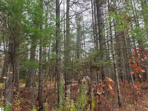 Battalion Boulevard, Grayling, MI 49738 photo 6