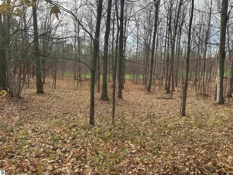 lot7 White Tail Dr, Bellaire, MI 49615