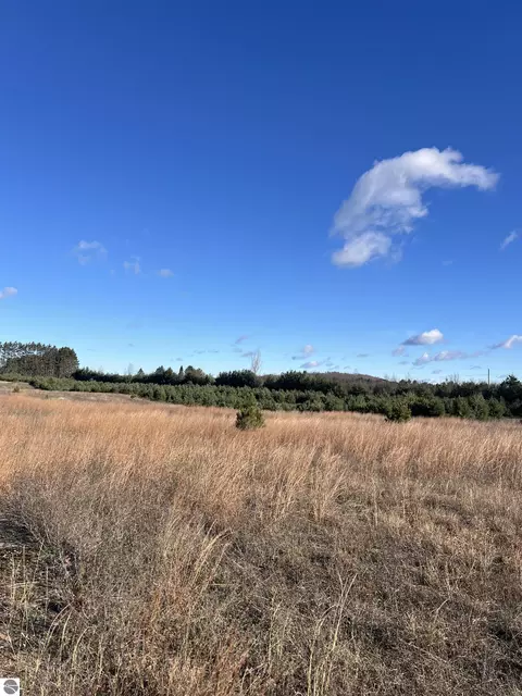 Vacant Land Johnson Road, Bellaire, MI 49615