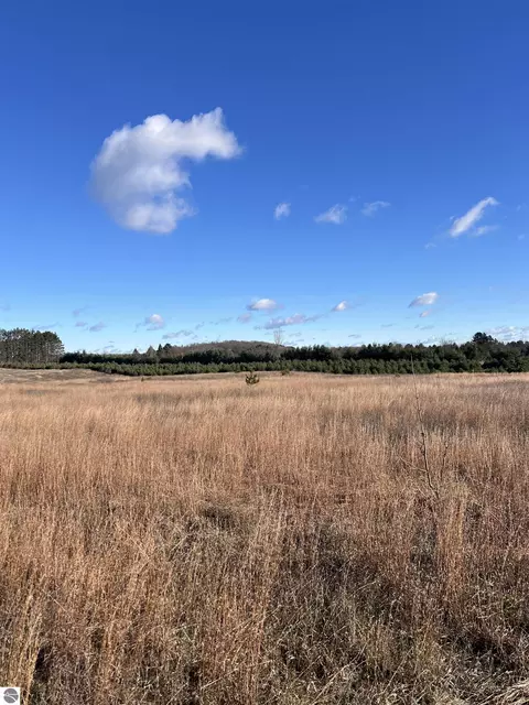 Vacant Land Johnson Road, Bellaire, MI 49615
