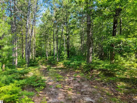 00 Arnold Rd, Manton, MI 49663 photo 10