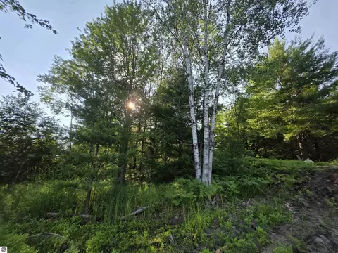00 Arnold Rd, Manton, MI 49663 photo 54
