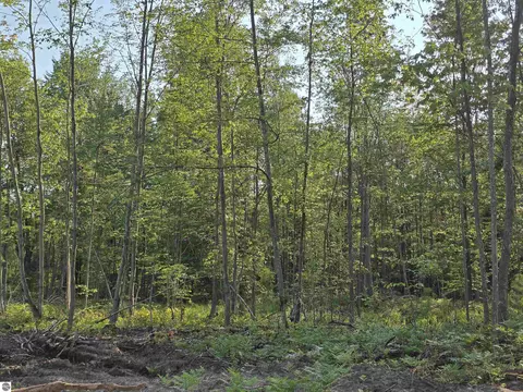 00 Arnold Rd, Manton, MI 49663 photo 40