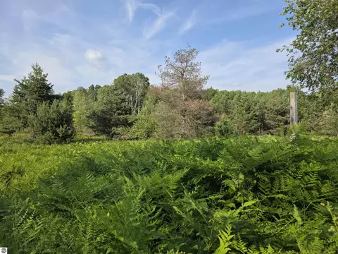 00 Arnold Rd, Manton, MI 49663 photo 20