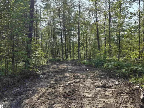 00 Arnold Rd, Manton, MI 49663 photo 39