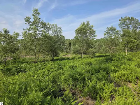 00 Arnold Rd, Manton, MI 49663 photo 23