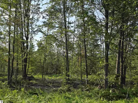 00 Arnold Rd, Manton, MI 49663 photo 35