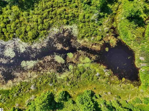 00 Arnold Rd, Manton, MI 49663 photo 3