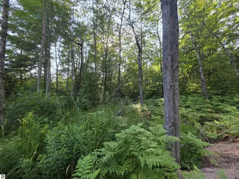00 Arnold Rd, Manton, MI 49663 photo 45
