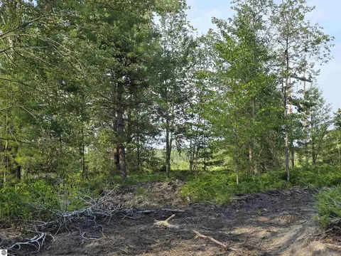 00 Arnold Rd, Manton, MI 49663 photo 38