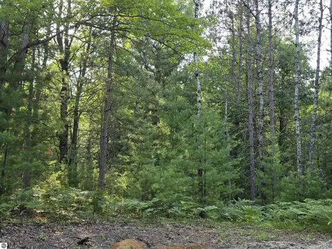 00 Arnold Rd, Manton, MI 49663 photo 49