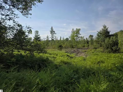 00 Arnold Rd, Manton, MI 49663 photo 21