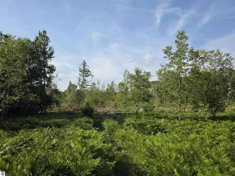 00 Arnold Rd, Manton, MI 49663 photo 22