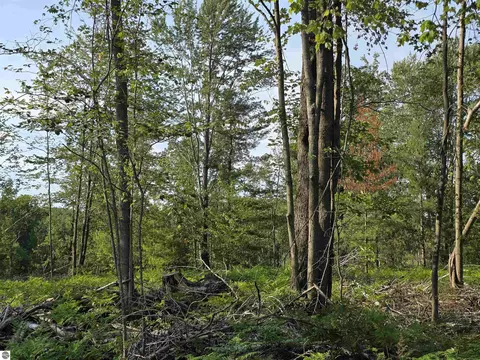 00 Arnold Rd, Manton, MI 49663 photo 36