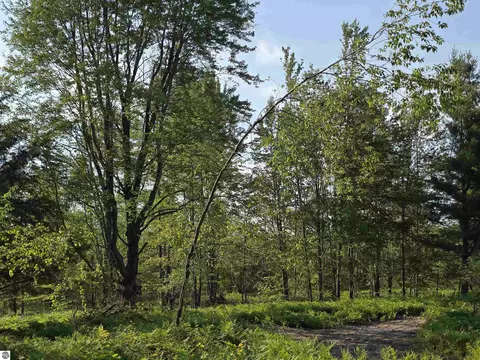 00 Arnold Rd, Manton, MI 49663 photo 34
