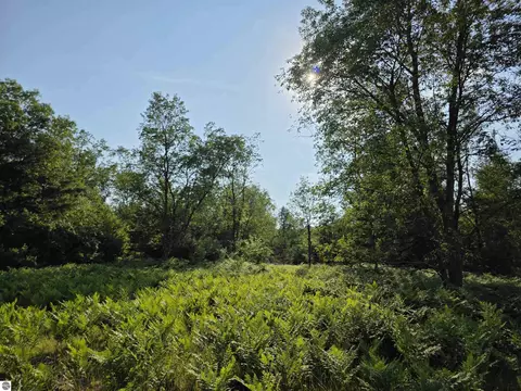 00 Arnold Rd, Manton, MI 49663 photo 31